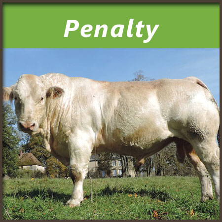 Penalty
