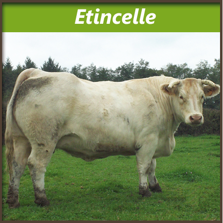 Etincelle