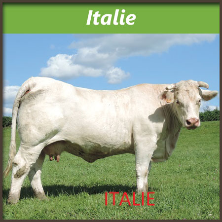 Italie