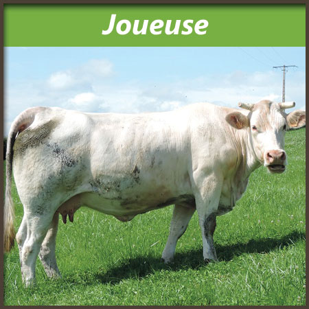 Joueuse