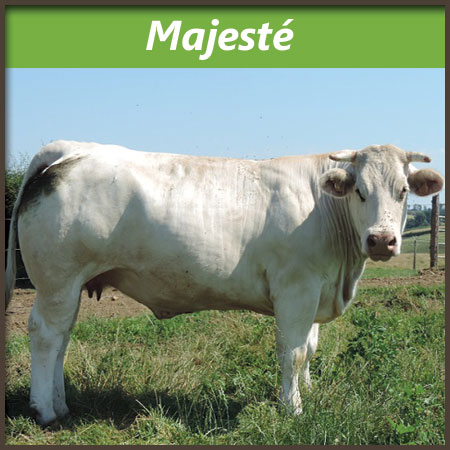 Majeste