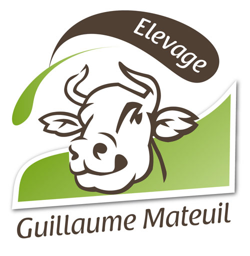 Guillaume Mateuil - Elevage bovins charolais en Saône et Loire