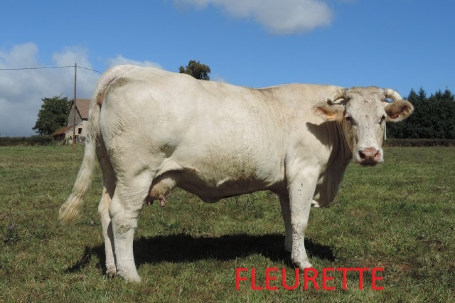 FLEURETTE43